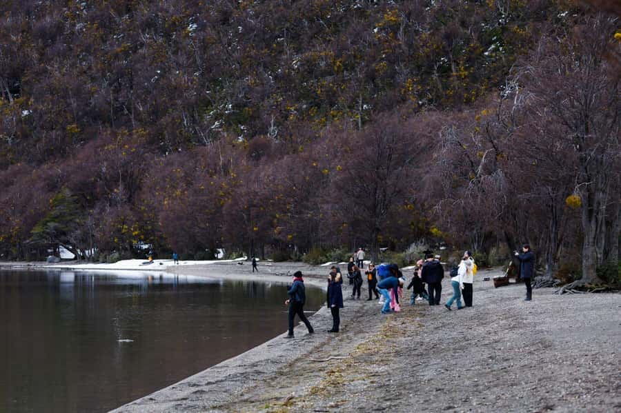 From Ushuaia: Discover Tierra del Fuego National Park - Key Points at a Glance