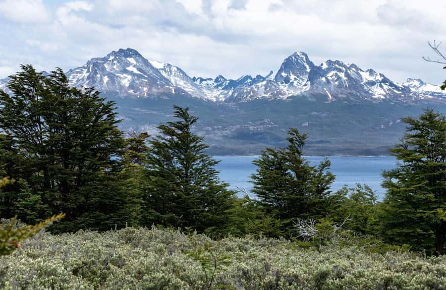 From Ushuaia: Discover Tierra del Fuego National Park - Guide Language, Weather, and What to Carry