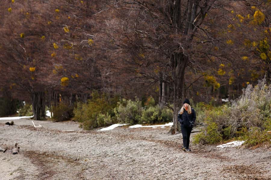 From Ushuaia: Discover Tierra del Fuego National Park - Lapataia Bay and the End of Route 3