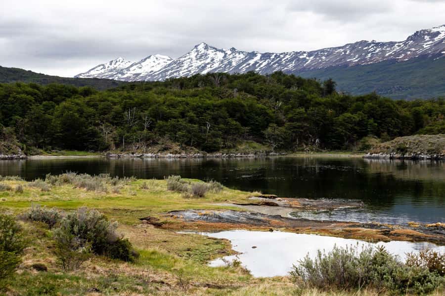 From Ushuaia: Discover Tierra del Fuego National Park - A Five-Hour Tour Versus the End of the World Train