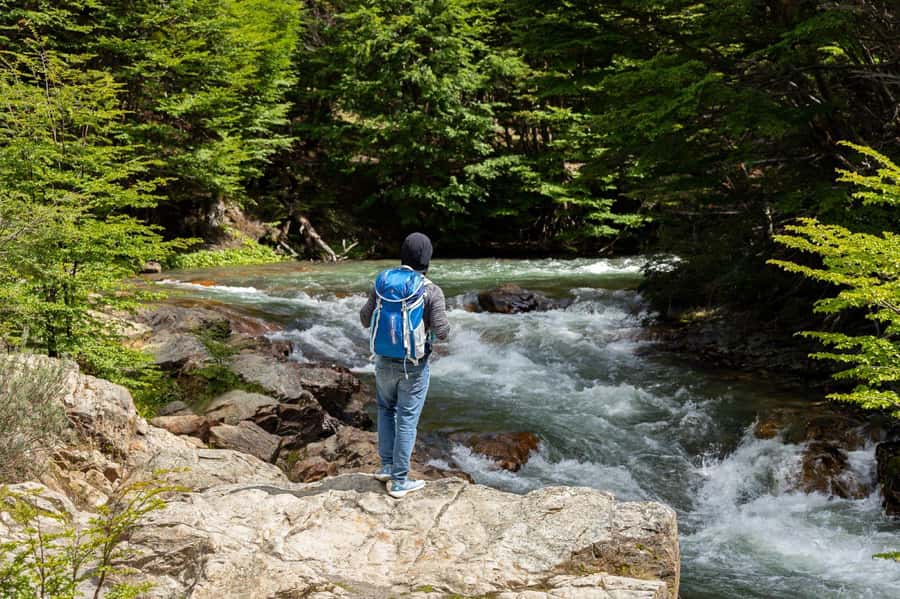 From Ushuaia: Discover Tierra del Fuego National Park - Pipo River and Mount Susana: The First Taste of the Park