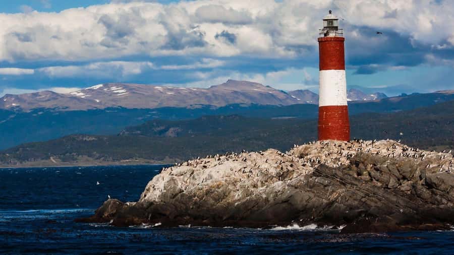 From Ushuaia: Penguin Watching Tour by Catamaran - Is $177 a fair price?