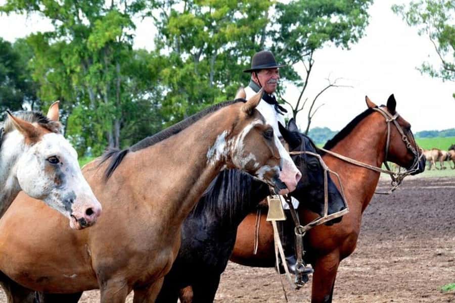 Full-Day at Santa Susana Ranch with BBQ, Drinks and Show - Practical details before you go