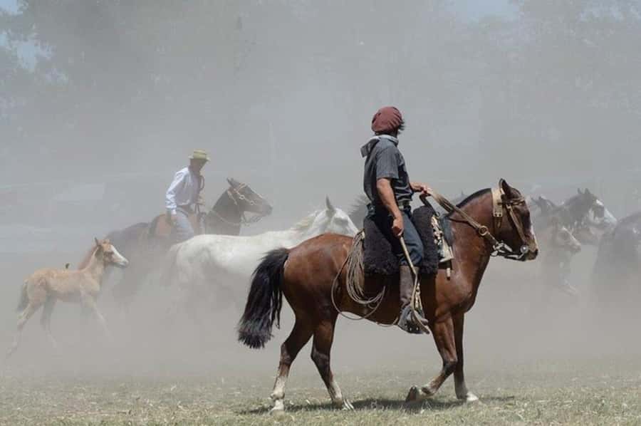 Full-Day at Santa Susana Ranch with BBQ, Drinks and Show - Gaucho demonstrations after the meal