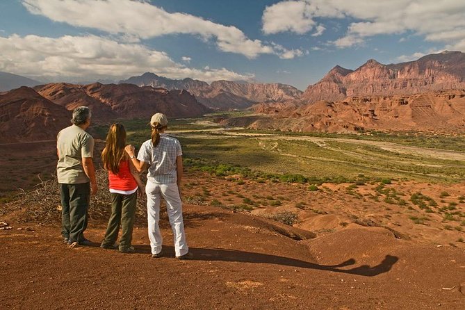 Full-day Cafayate, Lerma Valley, and Wine Tasting from Salta - The road through the Lerma Valley