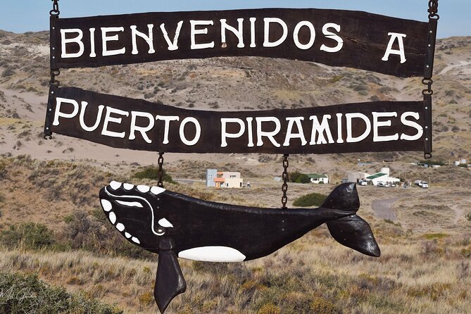 Full Day Peninsula Valdes Experience - optional Whale Watching - Ameghino Visitors Center and the first view