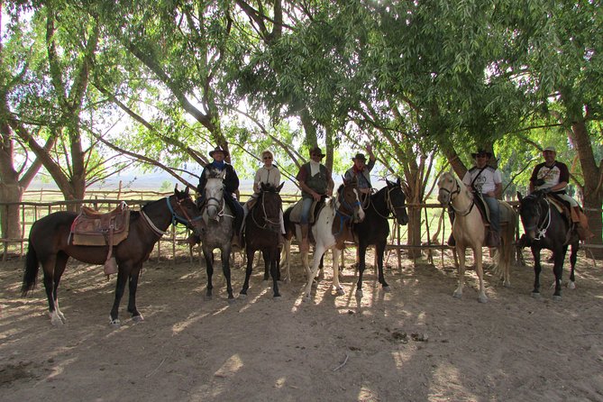 Full day ride at the foot of The Andes - Choosing a horse for your ability