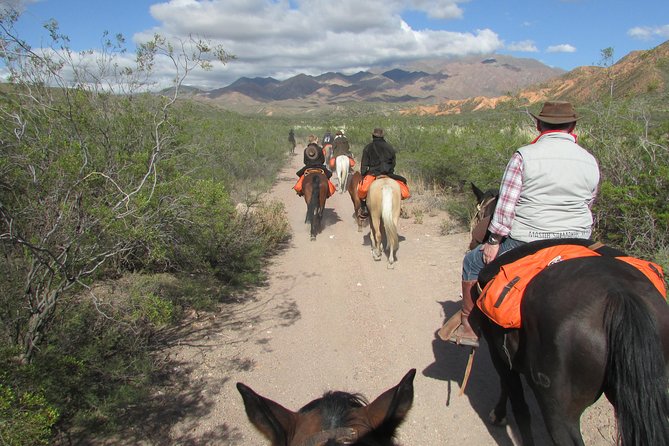 Full day ride at the foot of The Andes - Group size, guide attention, and comfort