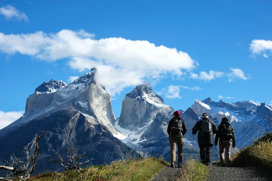 Full-Day Torres del Paine National Park from El Calafate - The real tradeoff: one day in Torres del Paine
