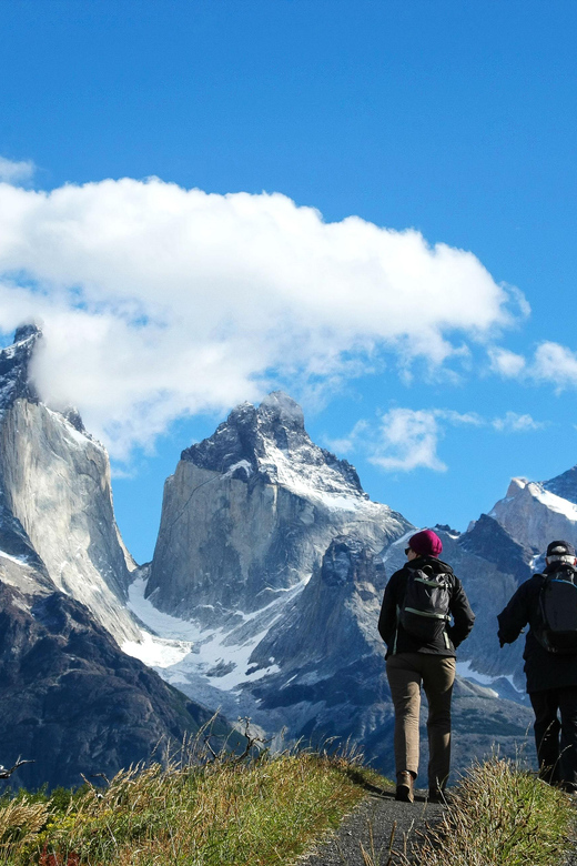 Full-Day Torres del Paine National Park from El Calafate - Lunch, snacks, and comfort on board