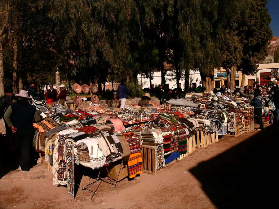 Full-Day Tour to Humahuaca from Salta - Tilcara, Humahuaca, and local culture