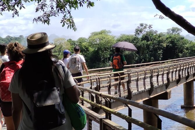 Full-Day Tour to Iguazu Falls - The Lower Circuit for spray and jungle sounds