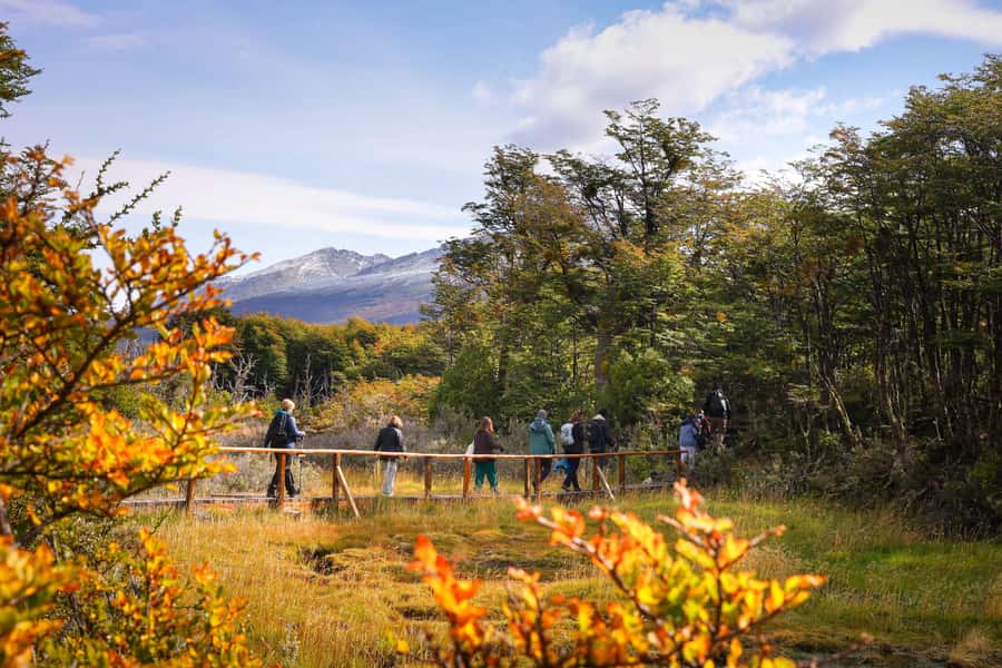Full Day Trip to Tierra del Fuego National Park - What this six-hour park day really includes