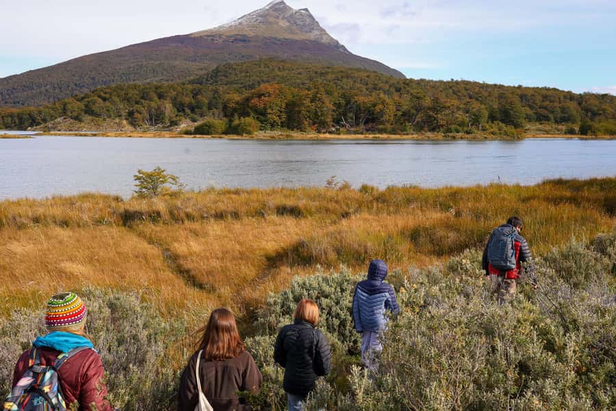 Full Day Trip to Tierra del Fuego National Park - Walking the Pampa Alta and Ensenada paths