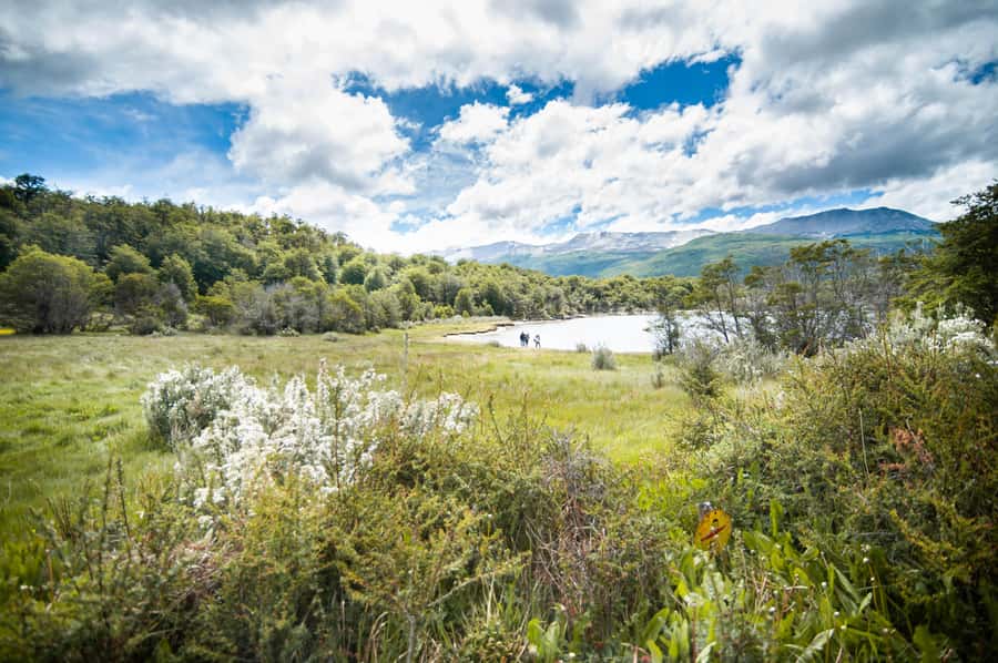 Full Day Trip to Tierra del Fuego National Park - Reaching Lapataia Bay and the road’s famous endpoint