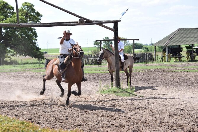 Gaucho Day Trip from Buenos Aires: Santa Susana Ranch - Key points to know before booking
