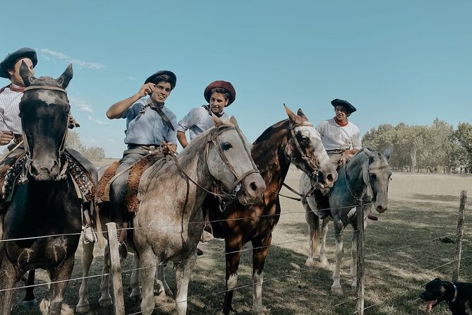 Gaucho Experience: A Day Trip to Don Silvano Ranch - Arriving With Empanadas and Wine