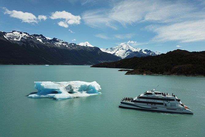 Gourmet Glaciers Navigation - A short walk in the Patagonian forest