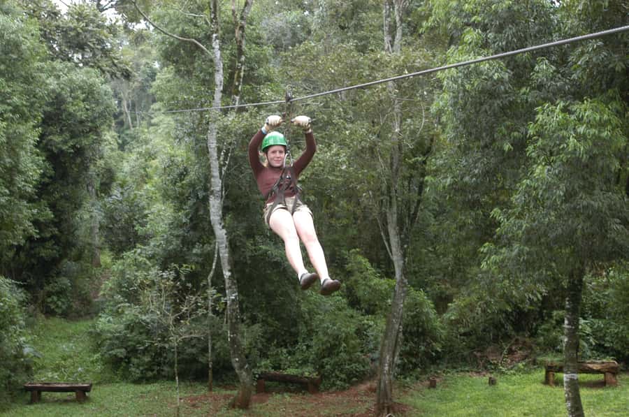 Half-Day Iguazú Forest Adventure - Who should book this forest adventure?