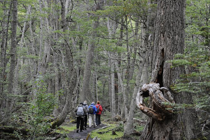 Half-Day Tierra del Fuego National Park with Lunch and Drinks - Acigami Lake, also called Roca Lake