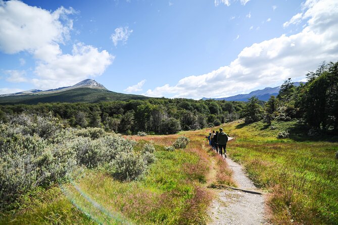 Half-Day Tierra del Fuego National Park with Lunch and Drinks - An 8 a.m. start from Ushuaia