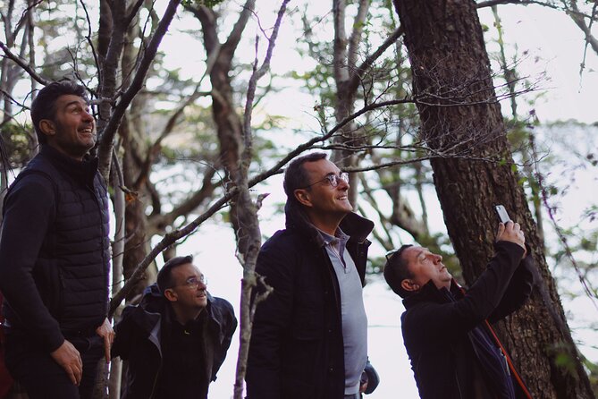 Half-Day Tierra del Fuego National Park with Train - Who should book this half-day outing