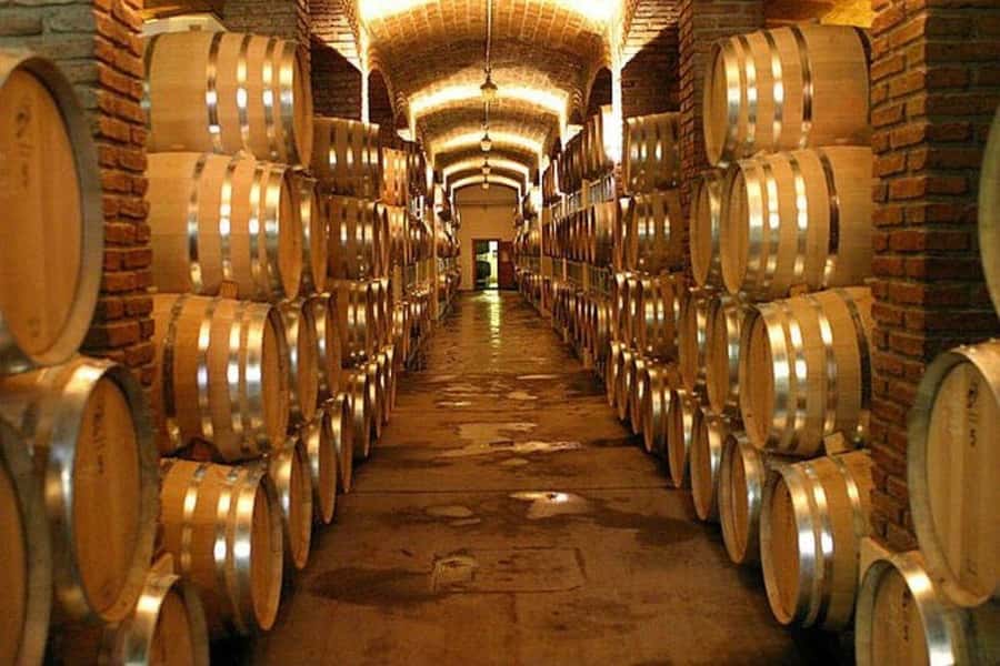 Half Day Tour of Wineries and Olive Oil from Mendoza - Key Points