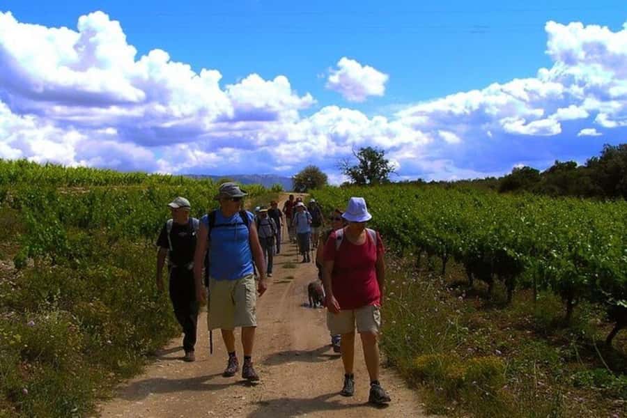 Half Day Tour of Wineries and Olive Oil from Mendoza - Why Maipú Makes a Good Half-Day Outing