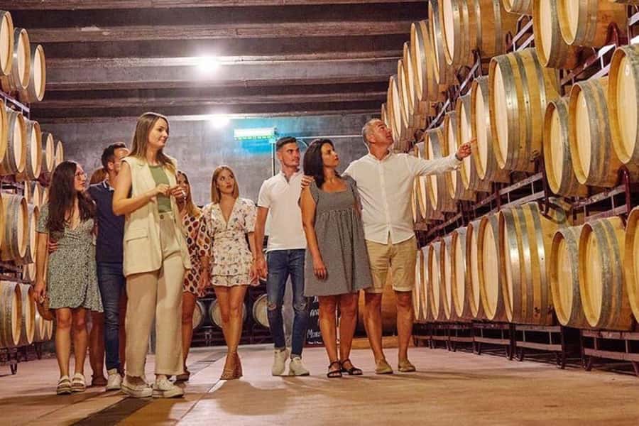 Half Day Tour of Wineries and Olive Oil from Mendoza - Two Boutique Wineries, Two Takes on Mendoza Wine