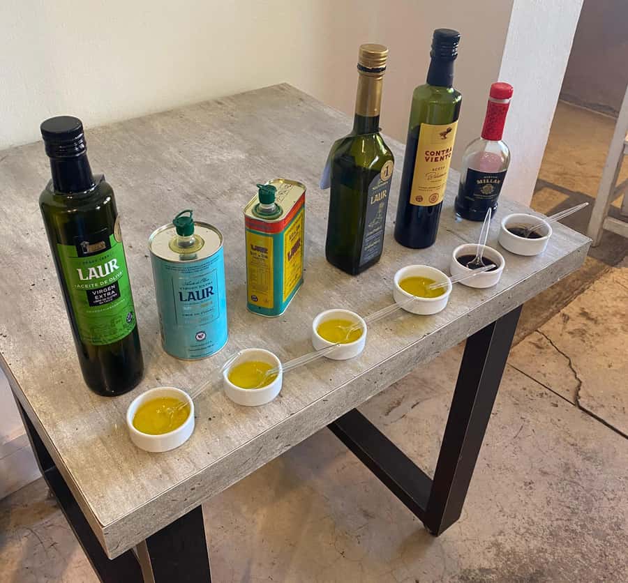 Half Day Tour of Wineries and Olive Oil from Mendoza - The Named Producers and the Uncertain Route