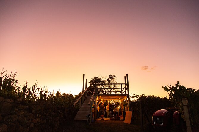 Harvest Evening - Grape Pisa at Vinhos Cristofoli - Arriving at Vinhos Cristofoli in Bento Gonçalves