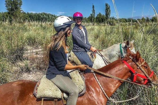 Horseback ride through vineyards followed by gourmet lunch - Why this Mendoza horseback ride works so well