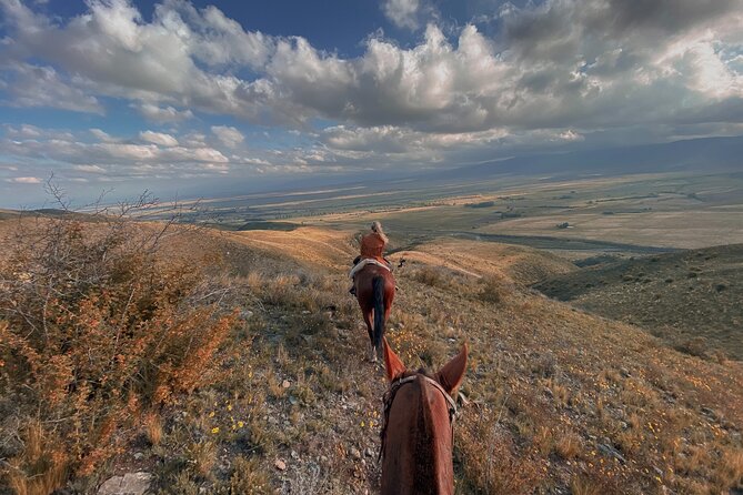 Horseback riding and barbecue in a private ranch - La Carrera, Mendoza - Two and a Half Hours on Criollo Horses