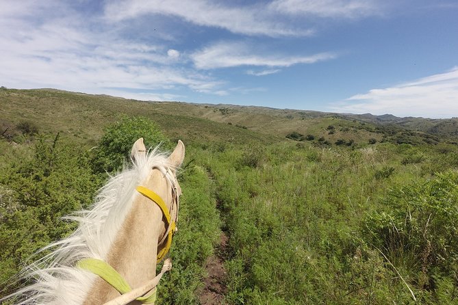 Horseback riding through the Sierras - Meeting Salvador and the ranch animals