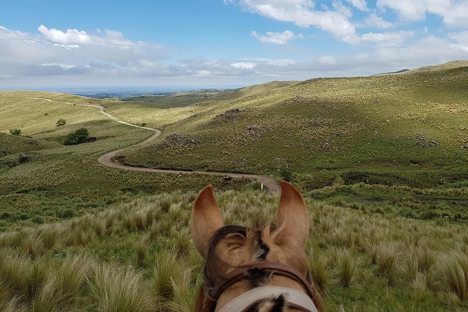 Horseback riding through the Sierras - What the $100 price really covers