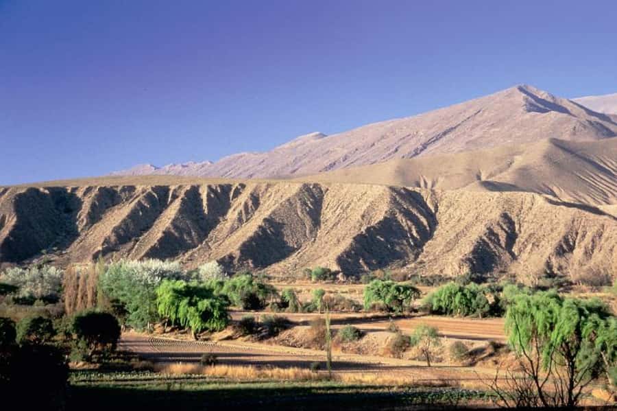 Humahuaca Valley Multicultural Tour from Salta - Why this day from Salta is worth your time