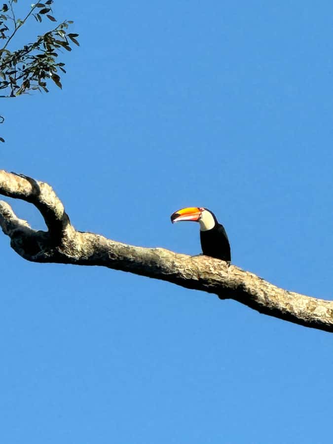 Iguassu Falls: Private Tour Argentina side - Is $90 a good value?