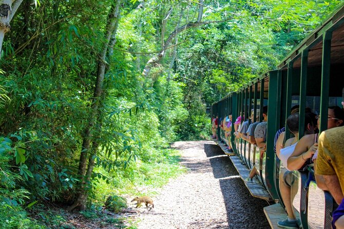 Iguazu Falls: Argentinian Side with Boat Ride, Jungle-truck and Train - Gran Aventura, the boat ride that earns its place
