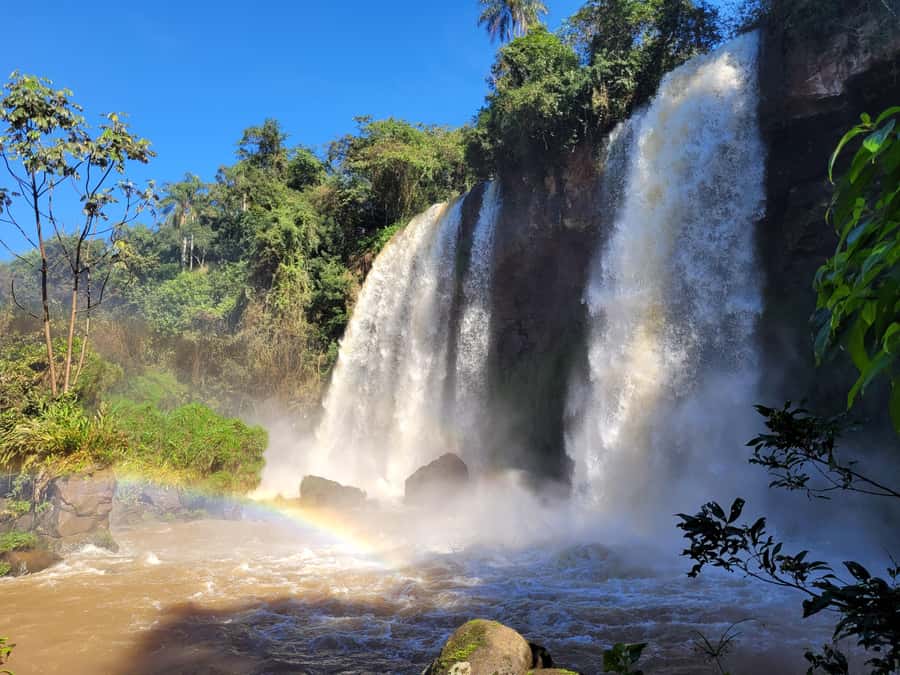 Iguazu Falls: Guided Tour in Argentinean Side - Who should choose this Iguazu tour