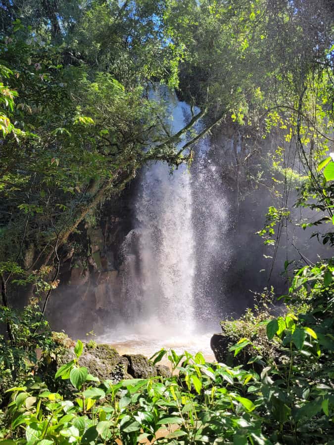 Iguazu Falls: Guided Tour in Argentinean Side - Choosing the Jungle Gran Aventura boat ride