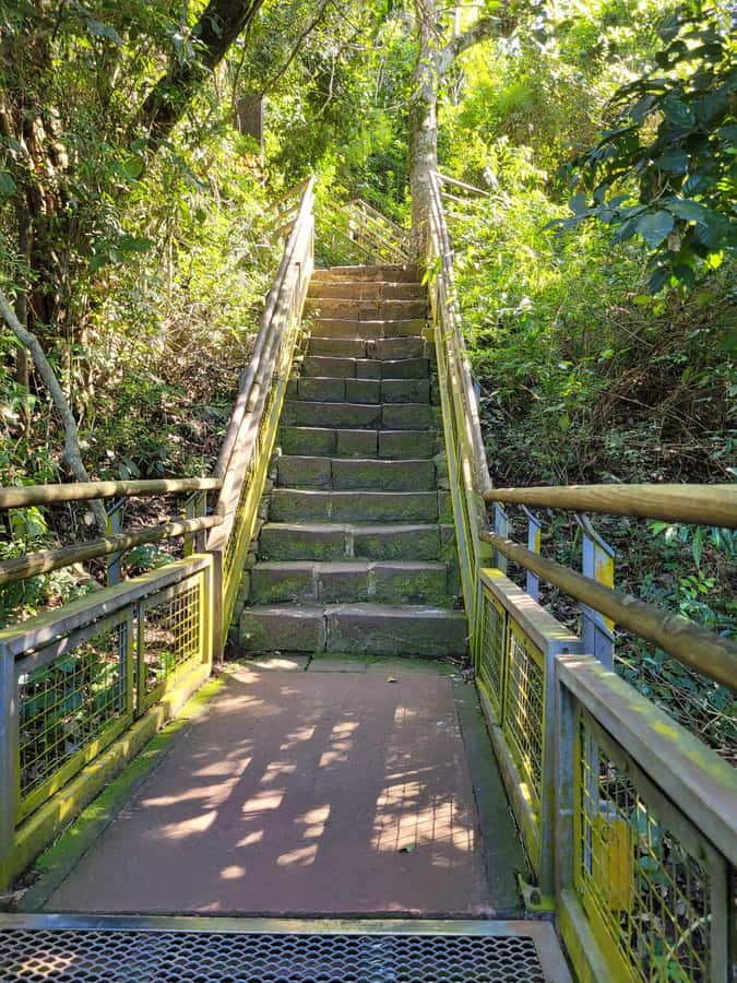 Iguazu Falls: Guided Tour in Argentinean Side - Learning about the park, not just looking at water