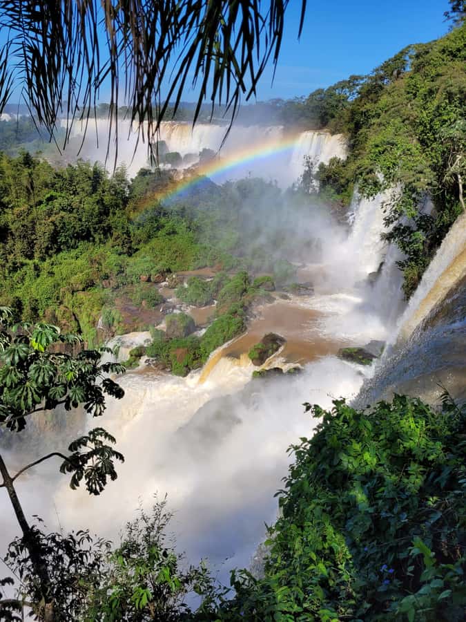 Iguazu Falls: Guided Tour in Argentinean Side - What the $245 private price really buys