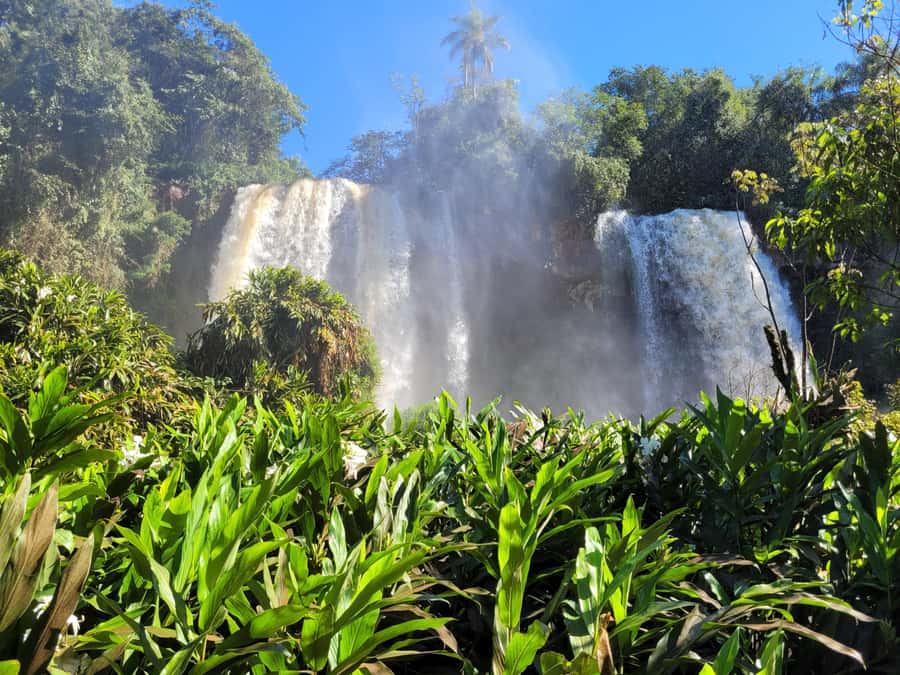 Iguazu Falls: Guided Tour in Argentinean Side - Practical preparation for a wet, active day