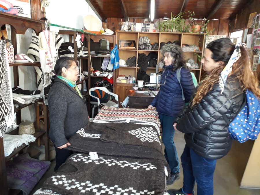 Indigenous People of Patagonia History Tour - Language, pace, and guide quality