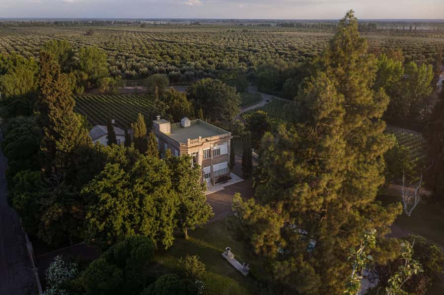 Luigi Bosca Winery Tour with Wine Tasting and Lunch - Key points to know before booking