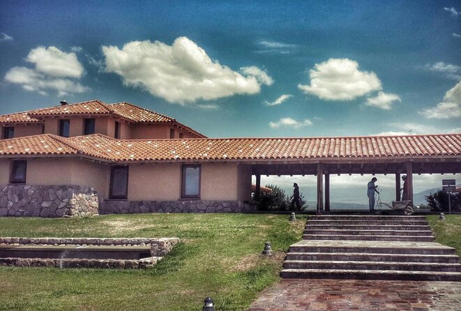 Lujan Deluxe - Full day - Premium Wine Tour with Gourmet Lunch - Timing, clothing, and dietary planning