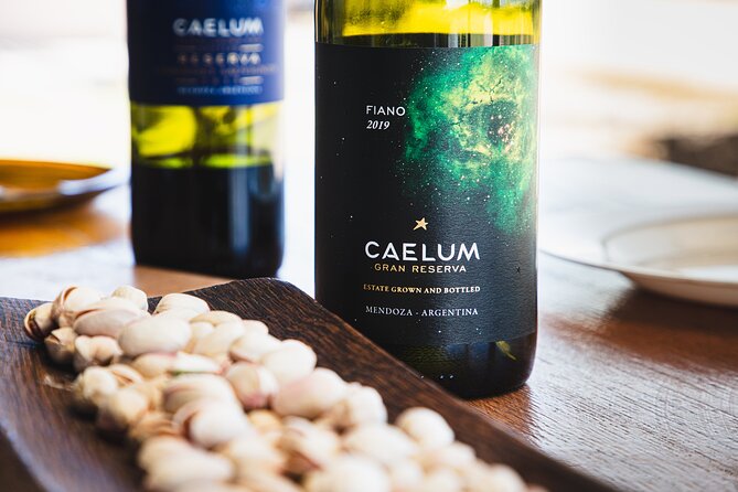 Lujan Deluxe - Full day - Premium Wine Tour with Gourmet Lunch - Casarena brings old vines and newer ideas