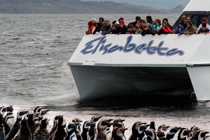 Martillo Island: Boat Trip to the Penguin Colony & Beagle Channel - Isla de los Pájaros and Isla de los Lobos