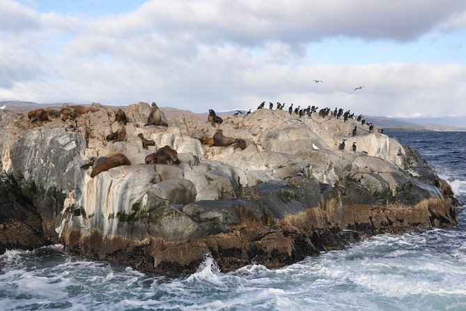 Martillo Island: Boat Trip to the Penguin Colony & Beagle Channel - Ushuaia and the Beagle Channel views