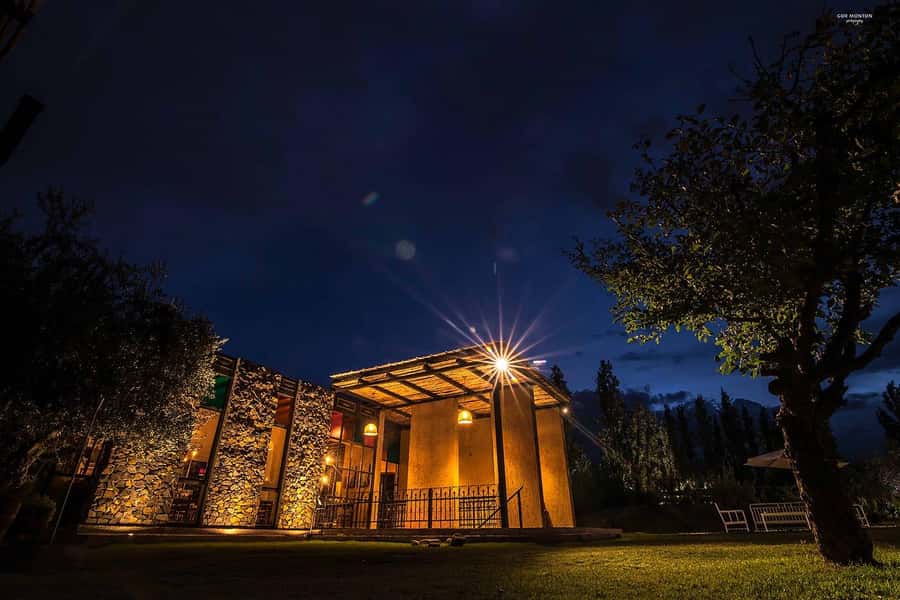 Mendoza: El Enemigo and Casa Vigil Wine Tour - Why Casa Vigil feels different from a standard winery visit